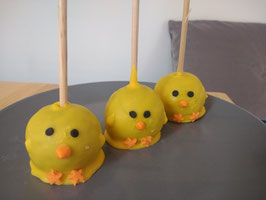 Atelier cakepop et cake design • vendredi 19-04-24 à 14 h 30