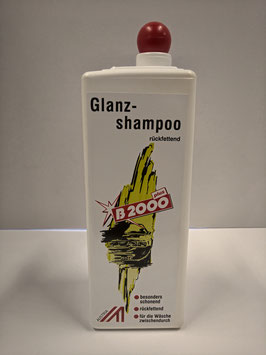 B2000 Glanz Shampoo