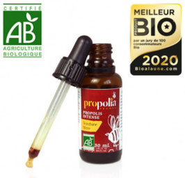 Teinture mère de propolis