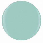 1110085 Mint Chocolate Chip 15ml