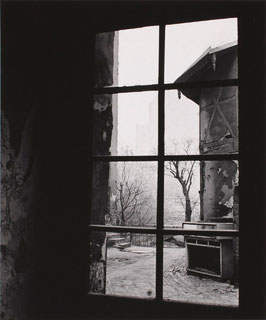 Fenster / Hinterhof, Kastanien Allee, 1979