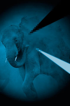 Elephant bathing in dust pixels