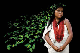 ANTONIO BRICEÑO: AWISHAMA Dueña de la coca. Cultura Wiwa, Colombia, 2002