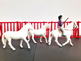 FIGURINE CAVALIERE AVEC SES POULAINS - JOUET