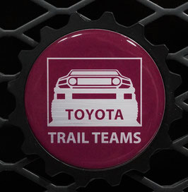 Black Cherry TT Classic - Silver Truck
