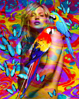 A LIFE IN COLORS