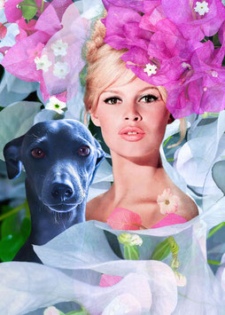 NATURE & ME SERIE / "Harmonie der Elemente - Brigitte Bardot"
