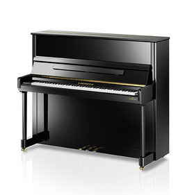 Residenz R6 Elegance-126