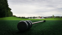 Der von Golf Profis erprobte Golf Trainingsschläger Highspeed Stick