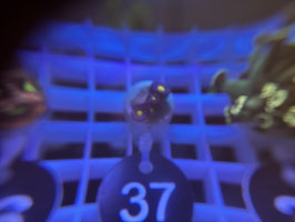 KORALLE 37 - AOI ZOANTHUS - @macity3239 ​​