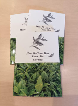 【お茶の教科書】　How To Grow Your Own Tea