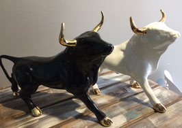 Toro cachos