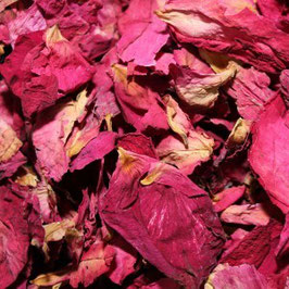 Pétales de Roses