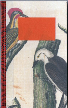 Notizbuch 15