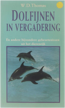 Dolfijnen in vergadering