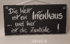 Die Welt ist ein Irrenhaus ... und hier ist die Zentrale!