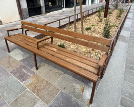 BANC CONTOUR D'ARBRE MEET