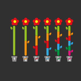 FRACTION FLEURS