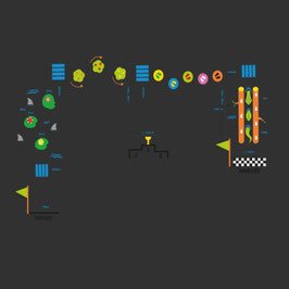 PARCOURS DE SANTÉ JUNGLE