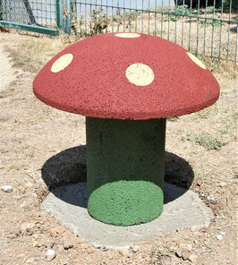 CHAMPIGNONS