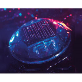 PLOT ROUTIER SOLAIRE ROND POLYCARBONATE