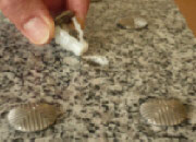 CLOU PODO A CHEVRONS