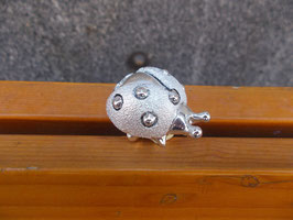 Coccinella