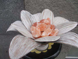 Lampada di sale rosa dell'Himalaya foglia in legno cocco braciere