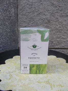 Infuso di equiseto Giardino Botanico dei Berici