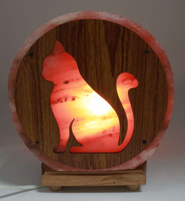 Lampada di sale gatto con pannello in legno