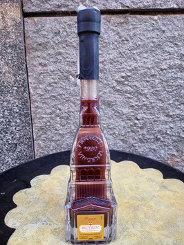 Bicerin mole antonelliana