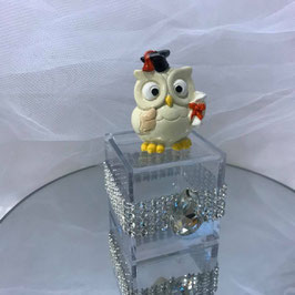 Scatola con gufo e strass