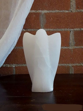 Angelo in selenite