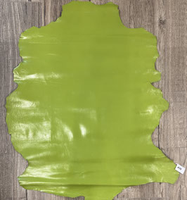 CAPRETTO VERDE PRATO 435
