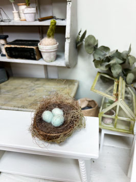 bird nests - different