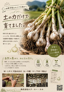 国産にんにく　詰め合せ