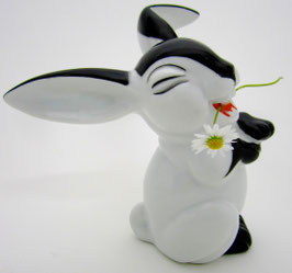Glücklicher Hase im Frack