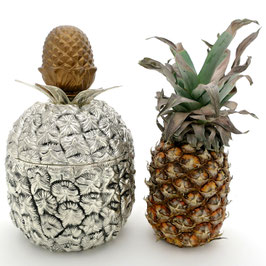 6 kg-Ananas-Eisbehälter
