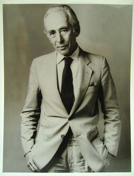 Mapplethorpe knipst Castelli