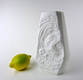 Fossilie in Bisquit