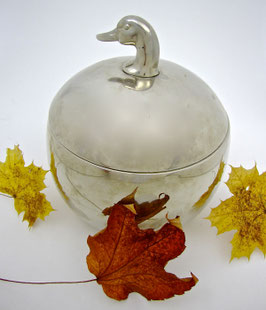 Ente on Ice