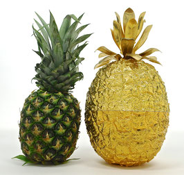Golden Glamour Pineapple