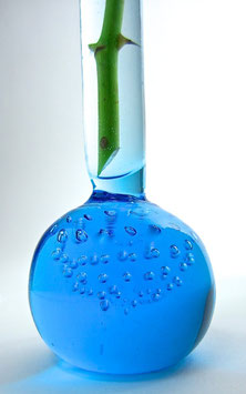Univers turquoise