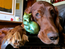 Fuchs (ohne Hund!)