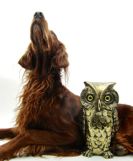 Golden Owl (ohne Deko)