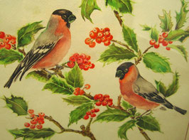 Vogelaquarell mit Beeren