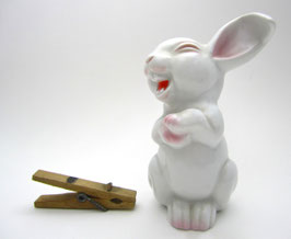 Alter Hase