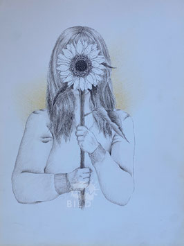 Sonnenblume