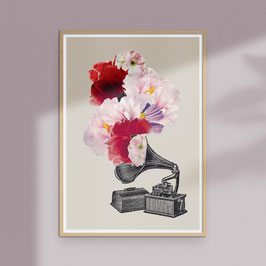 A4 Artprint "Blumophon"
