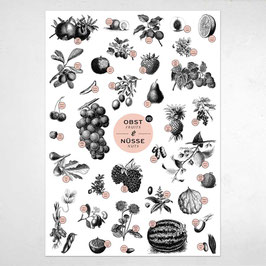 A2 Poster "Obst & Nüsse"